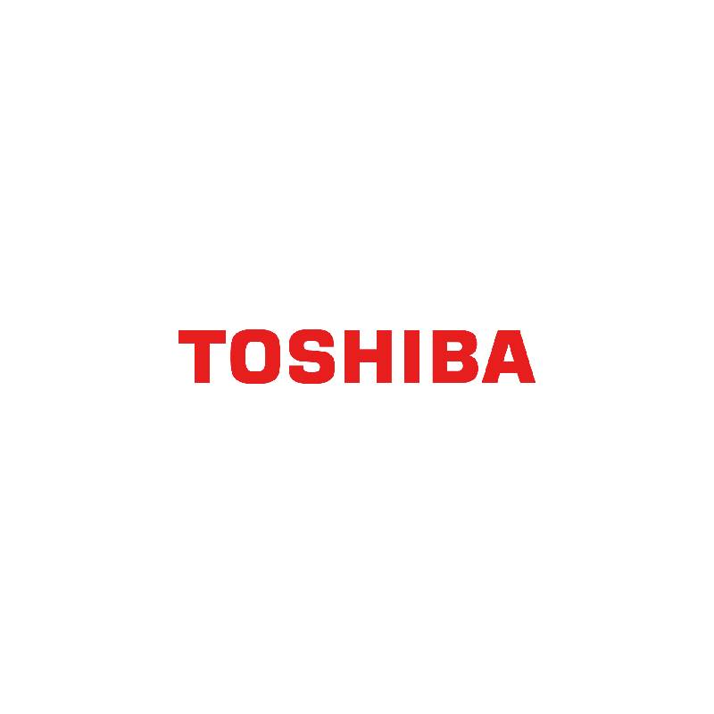 Toshiba Canvio Flex 2TB Warm