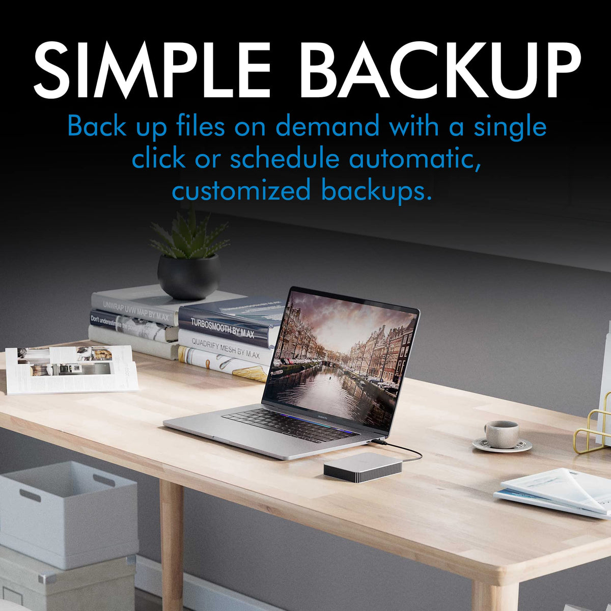 LaCie Mobile Drive Moon 1TB, External Hard Drive Portable, PC Mac iPad & iPhone, Data Rescue Services (STLP1000400)