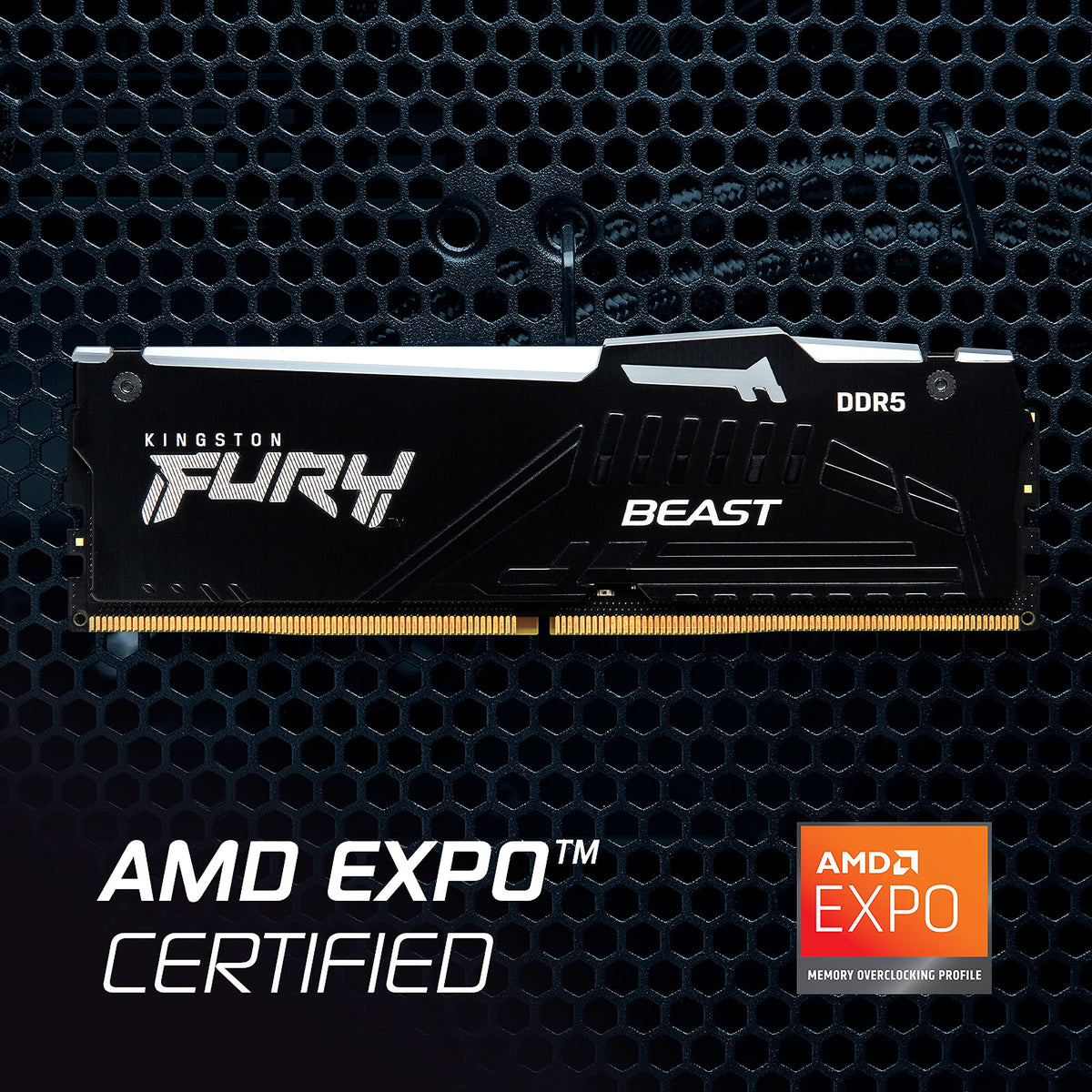 Kingston FURY Beast Black RGB 32GB (2x16GB) 5600MT/s DDR5 CL36 DIMM Desktop Gaming Memory Kit of 2 - KF556C36BBEAK2-32