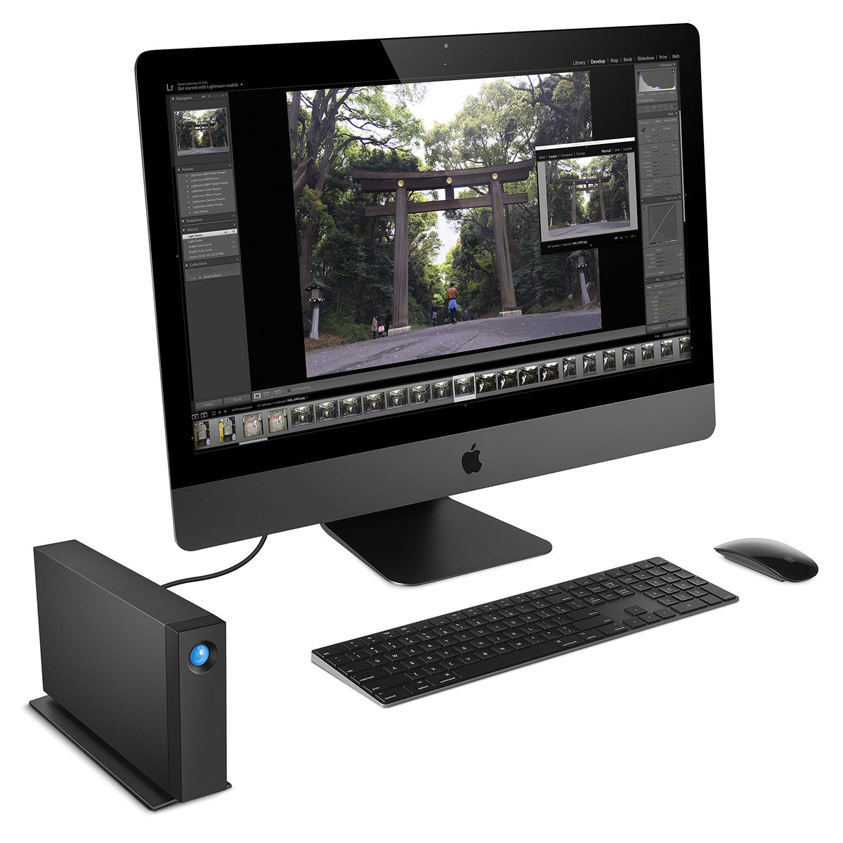 LaCie 8TB d2 Professional | USB-C (STHA8000800)