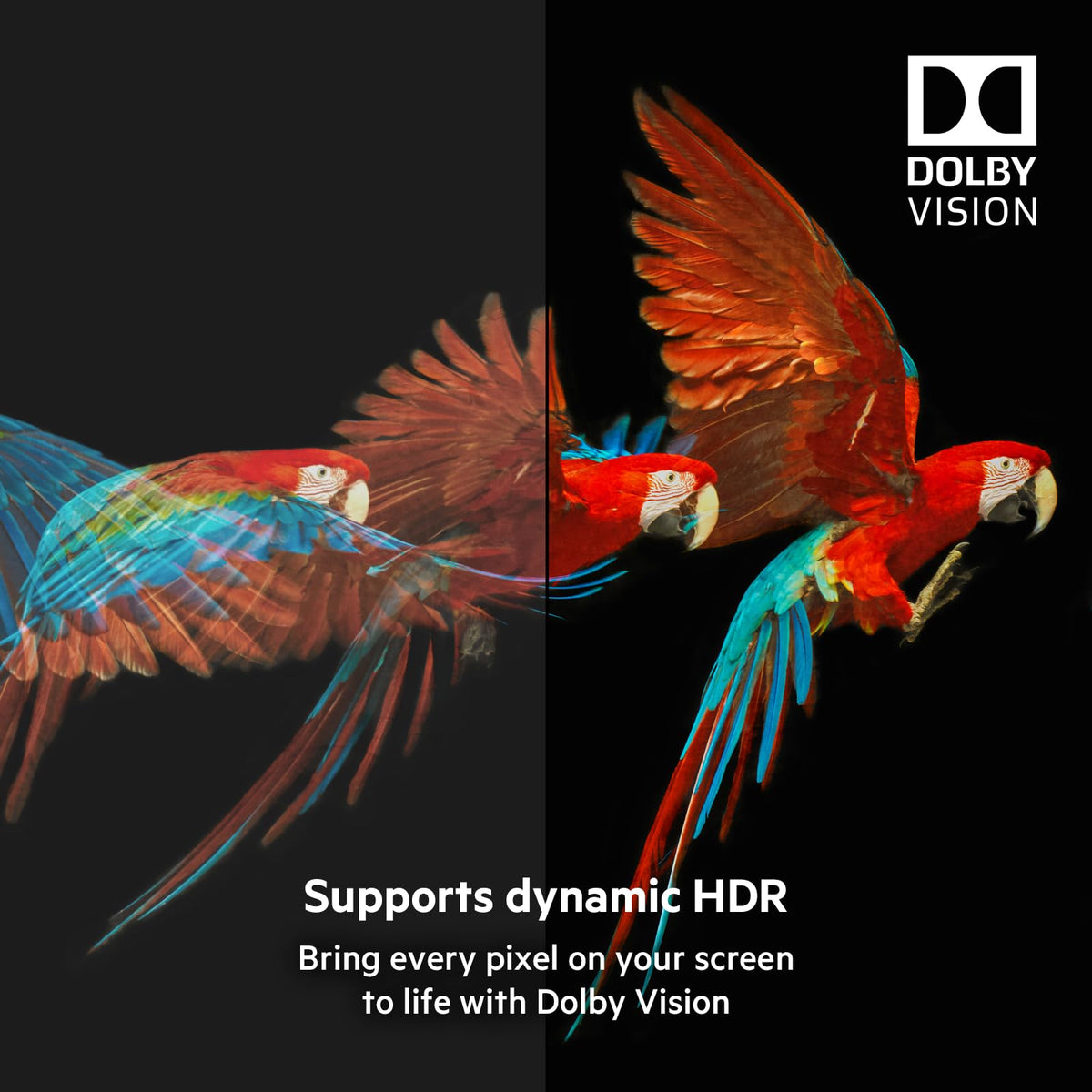Belkin Ultra HD High Speed HDMI Cable (2018) – 6.6 ft/2 m 4K HDMI Cable, Supports 4K/120 Hz and 8K/60 Hz, Dolby Vision/HDR 10 Compatible, 48 Gbps
